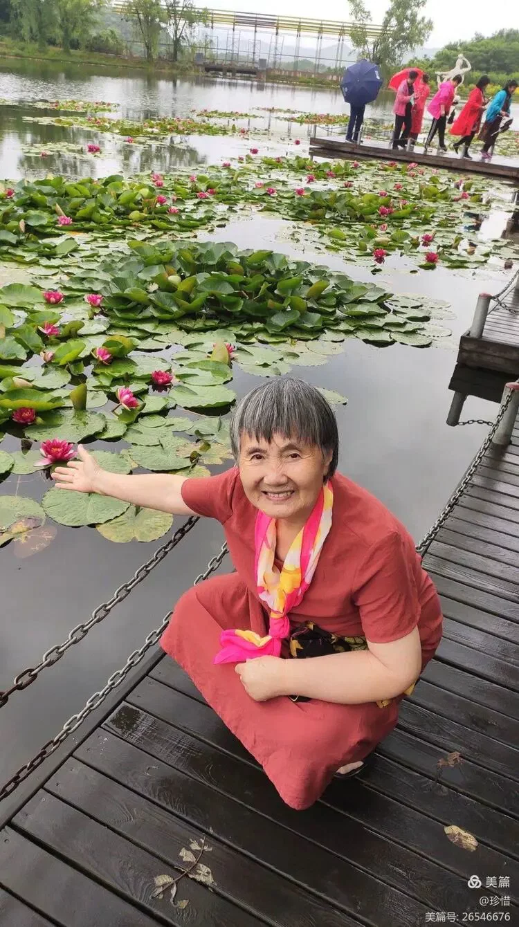 图片16