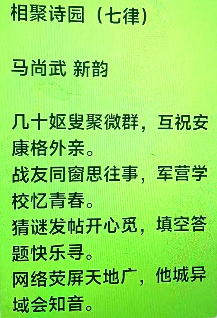 图片28