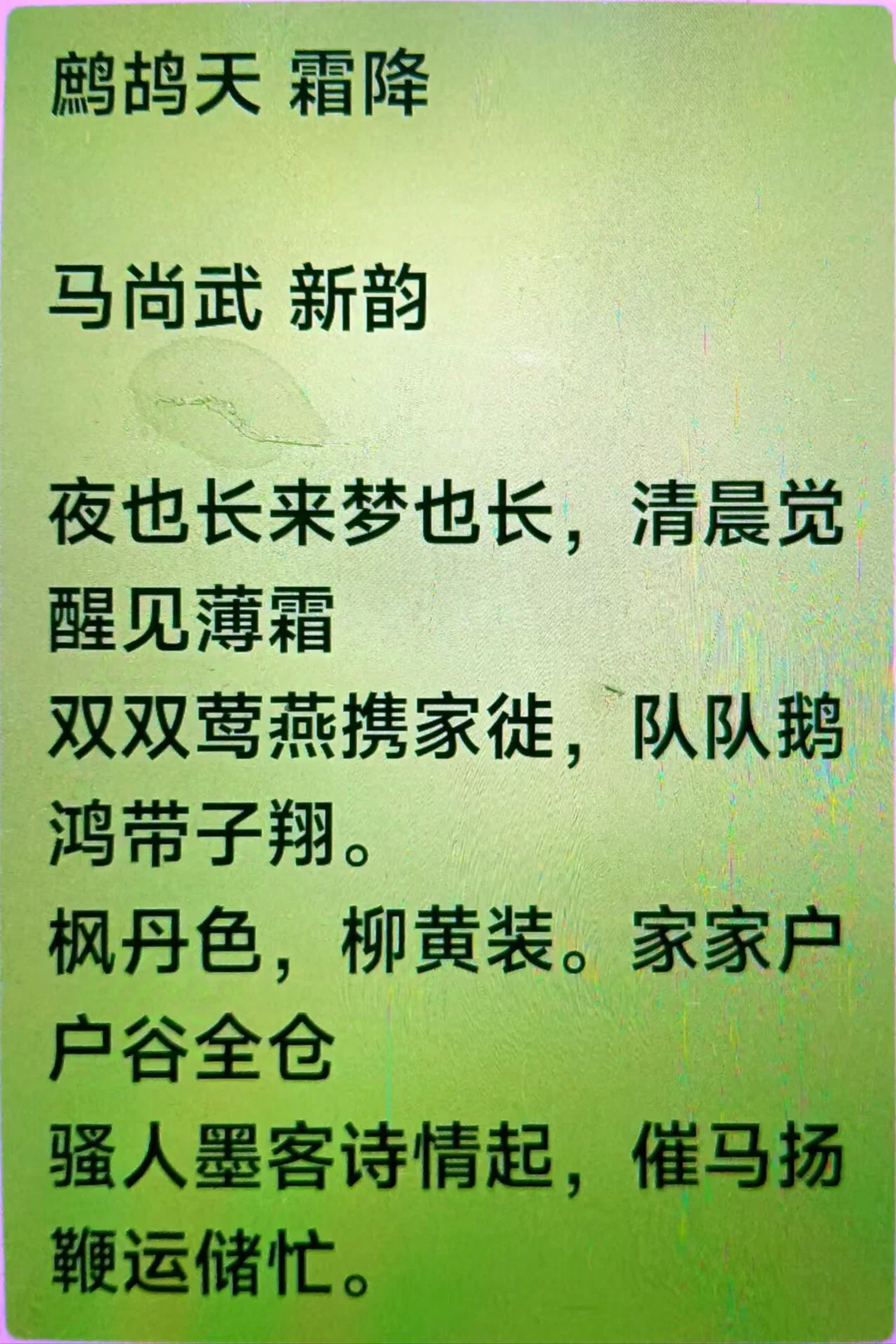 图片6