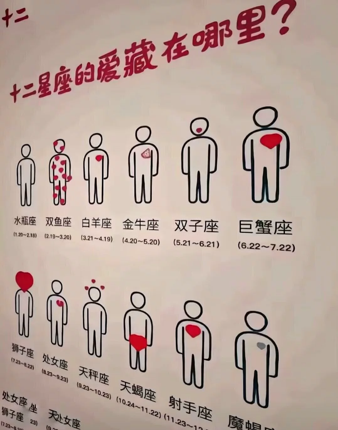 图片23