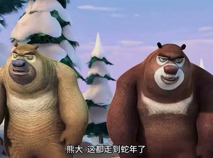 图片5