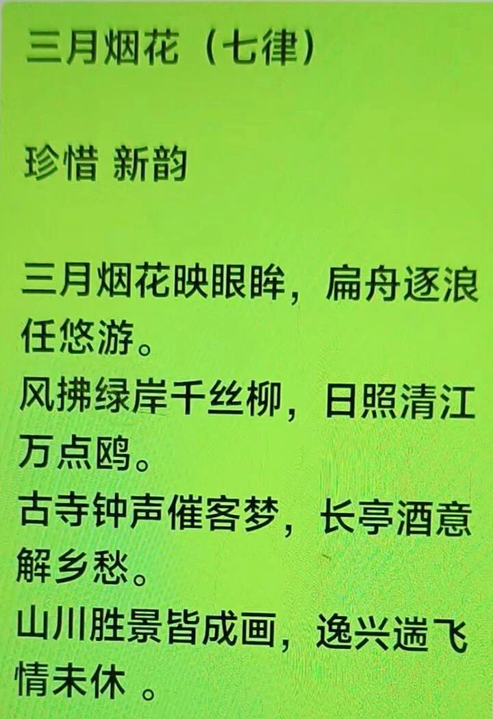 图片12