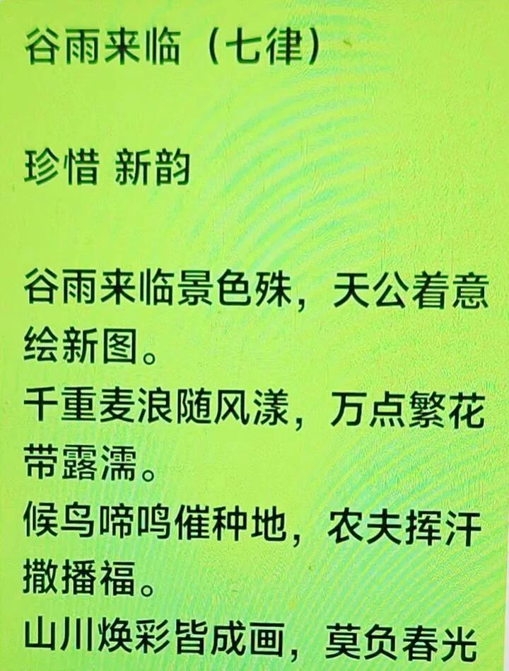 图片28