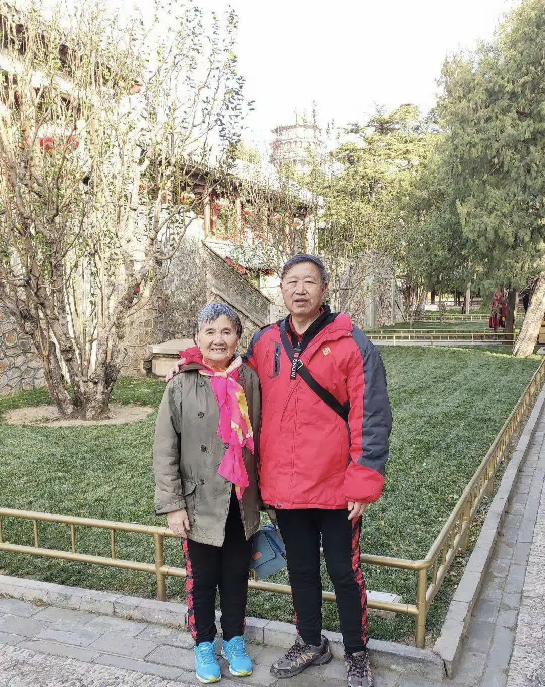图片1