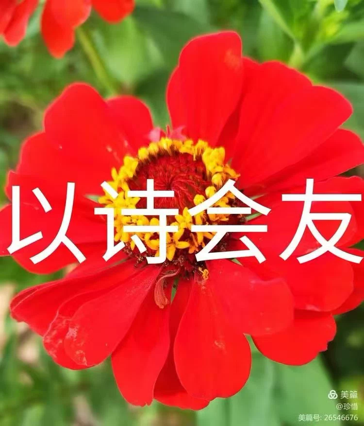 图片11