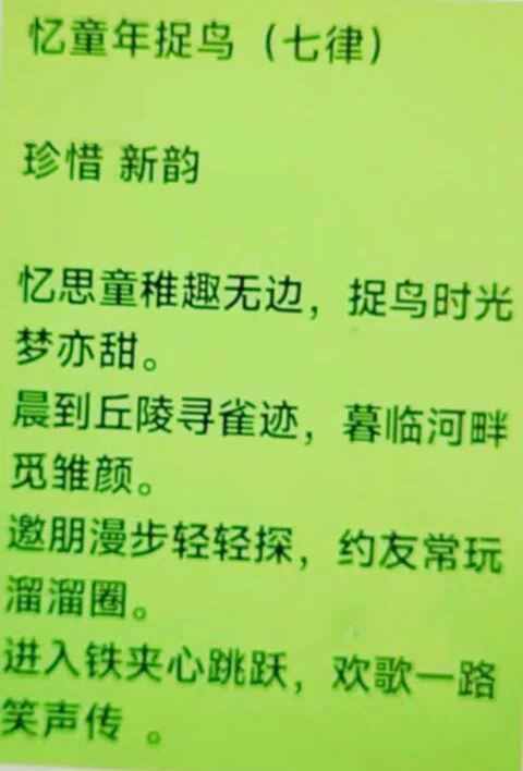 图片15