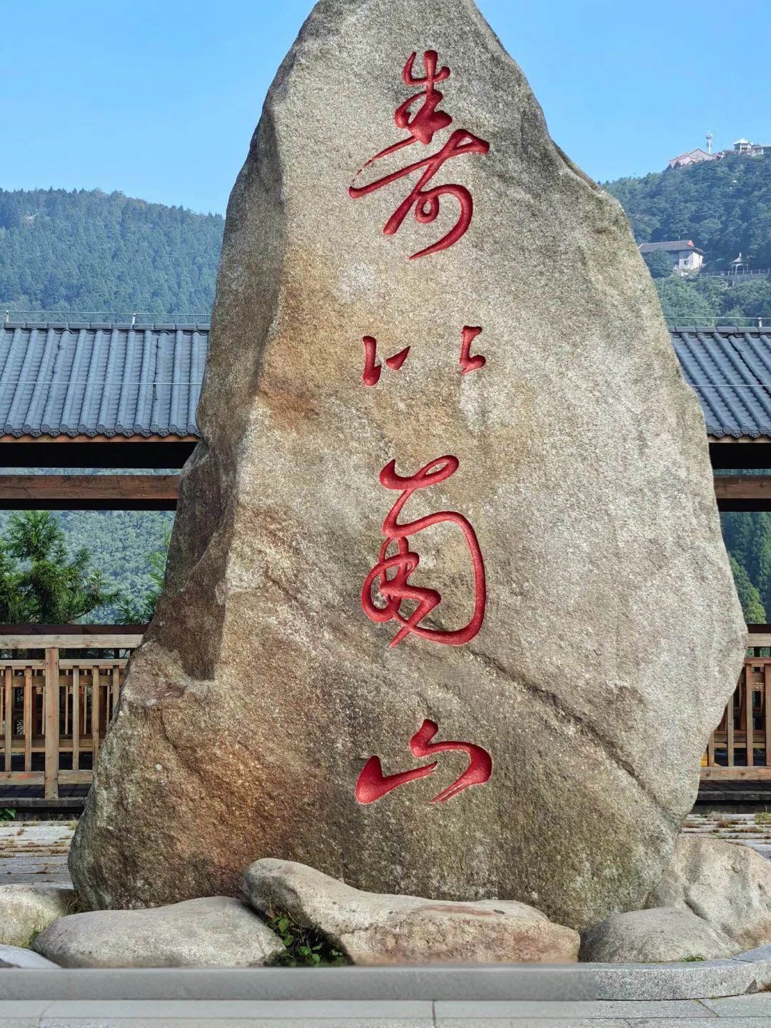 图片11