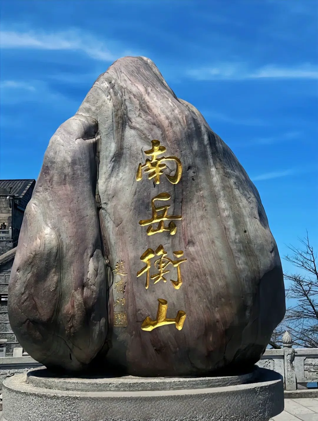图片12