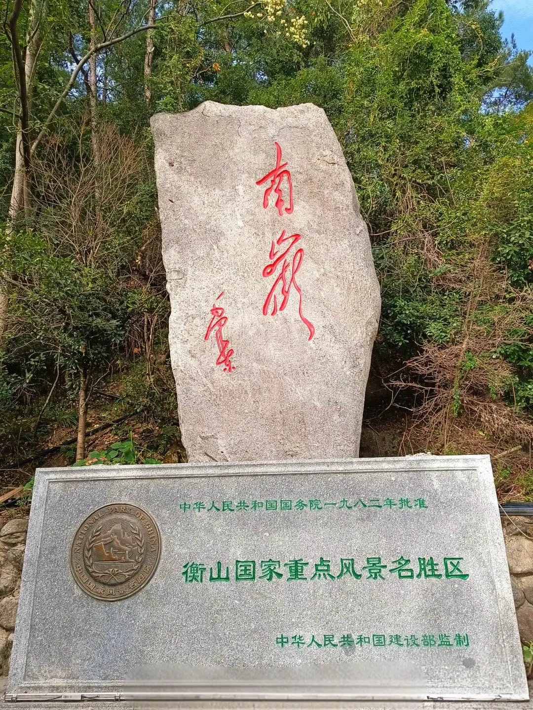 图片5