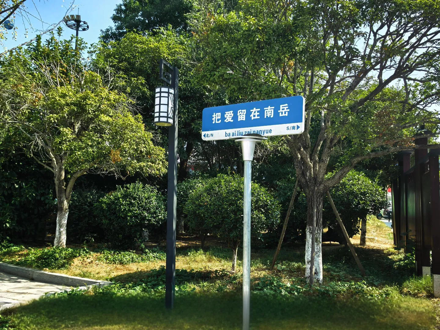 图片7
