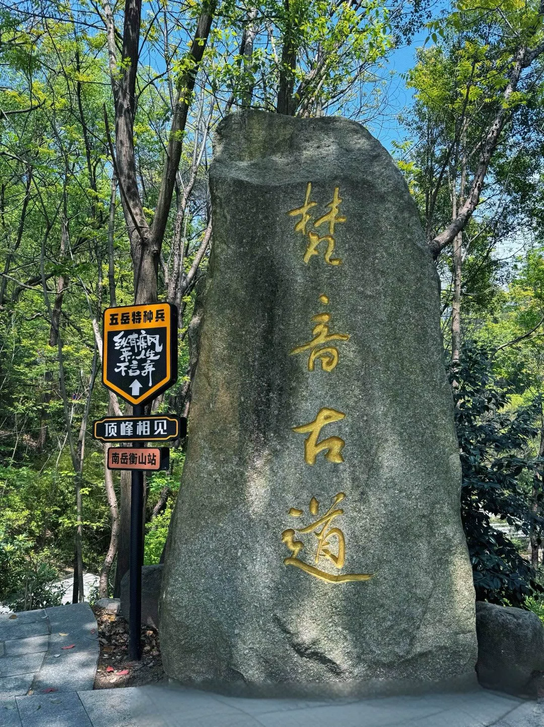 图片9
