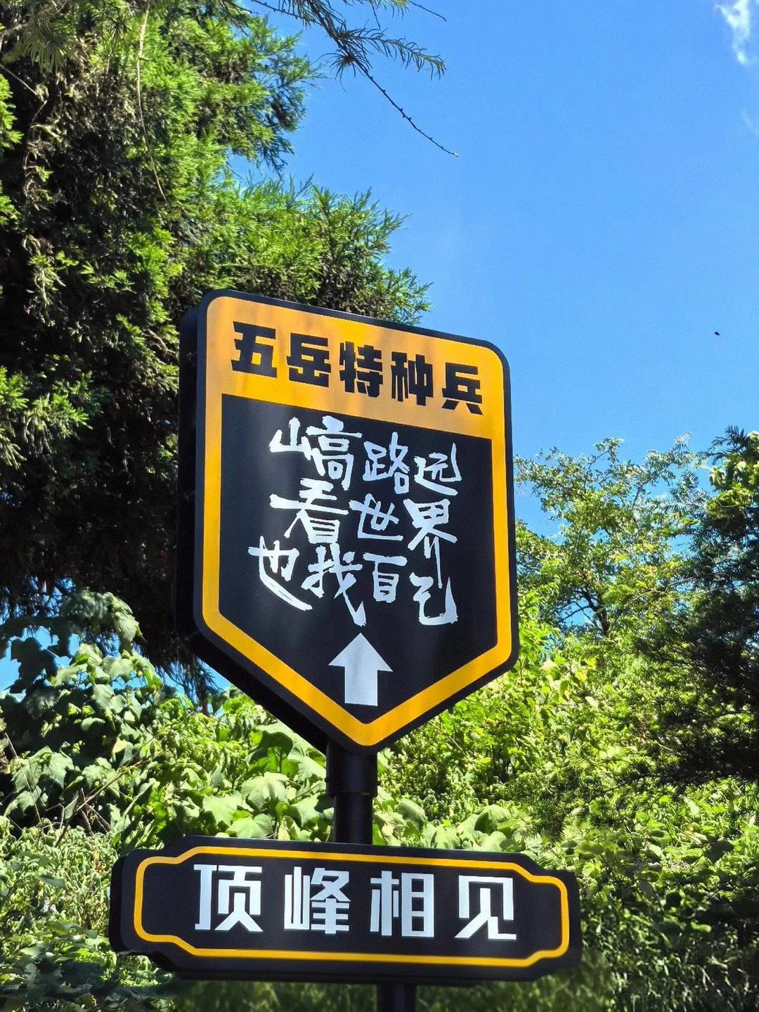 图片10