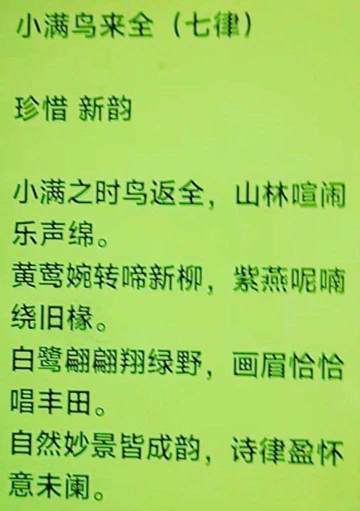 图片16