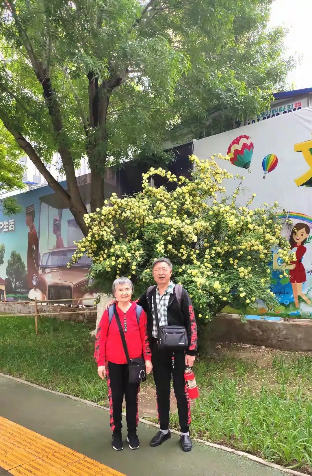 图片21