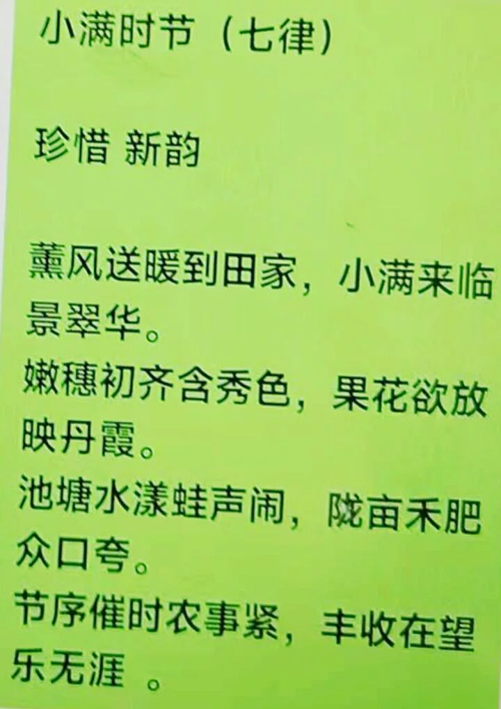 图片16