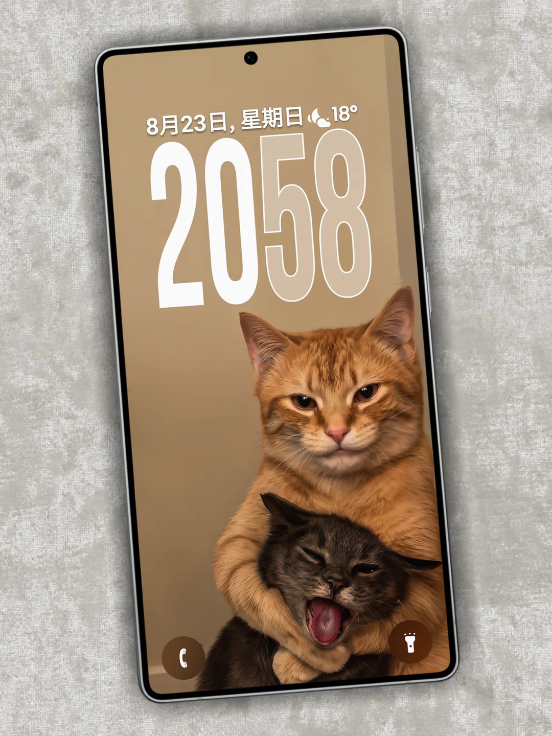 图片14