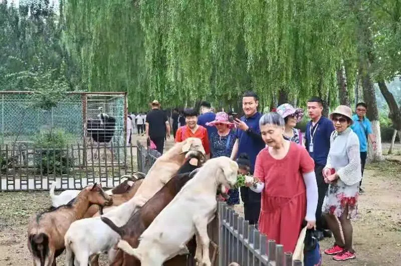 图片21