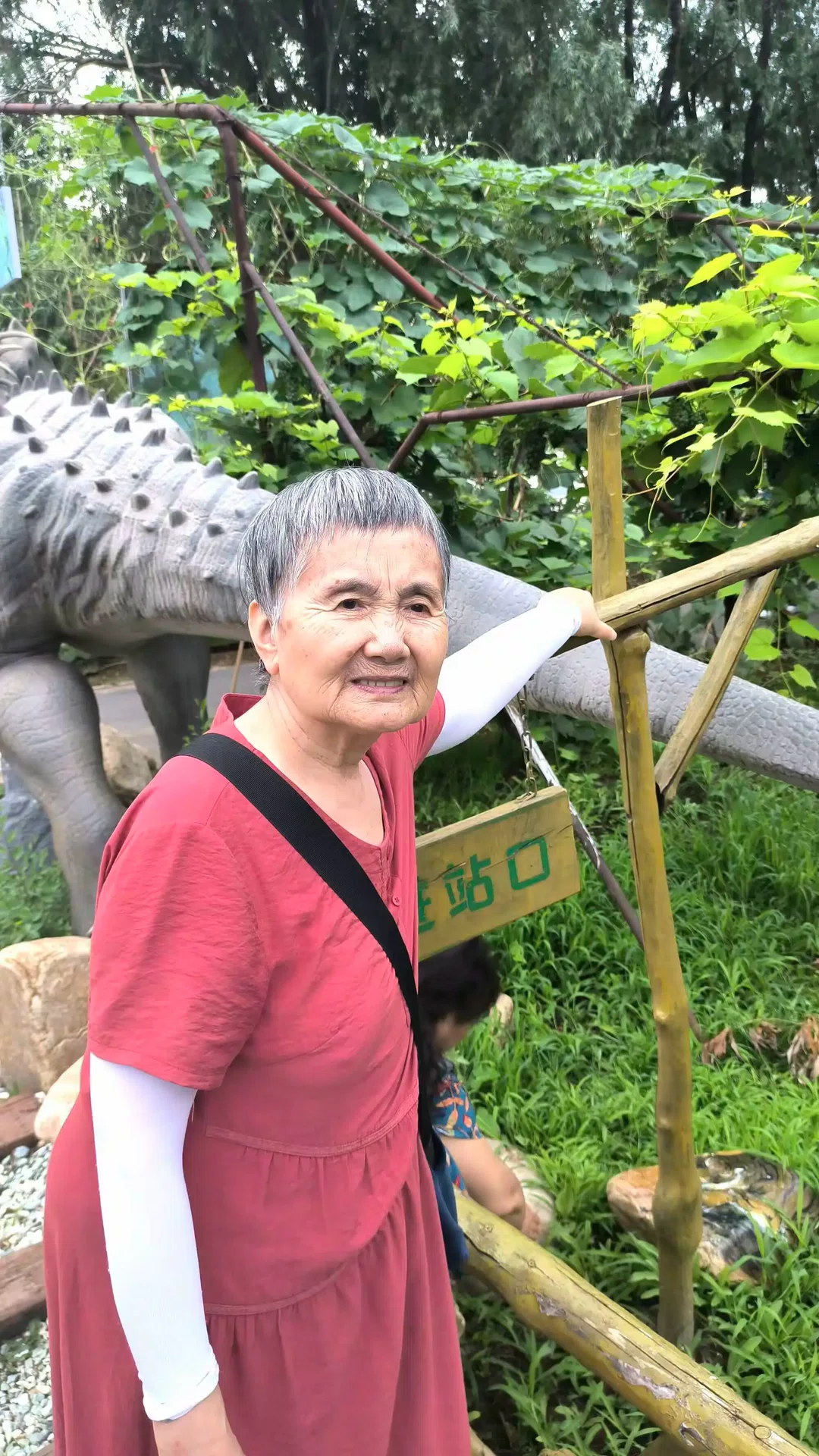 图片8