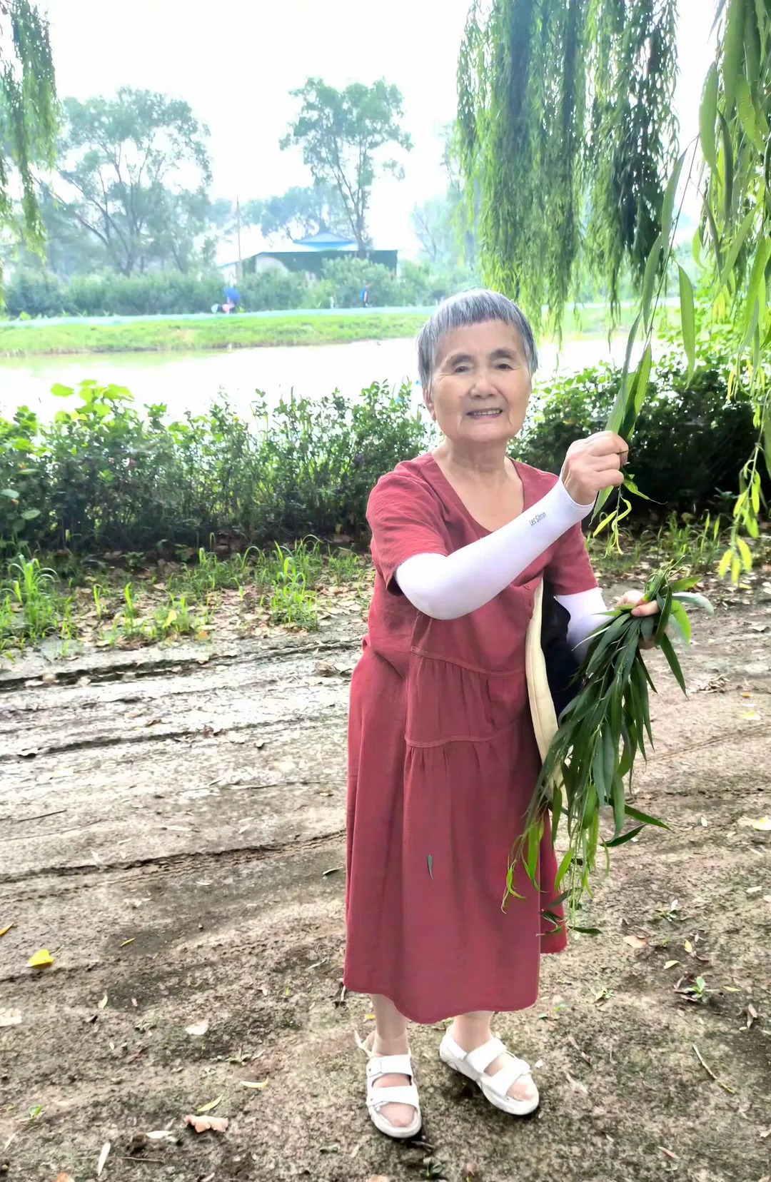 图片9