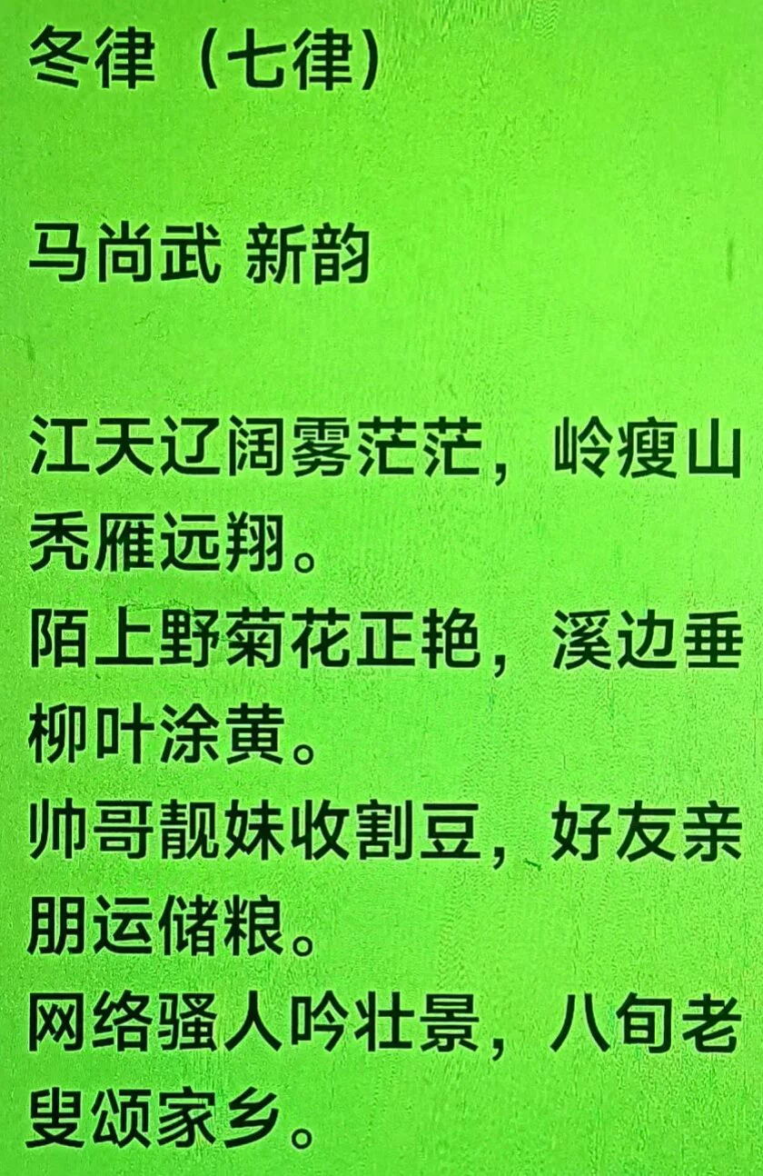 图片12
