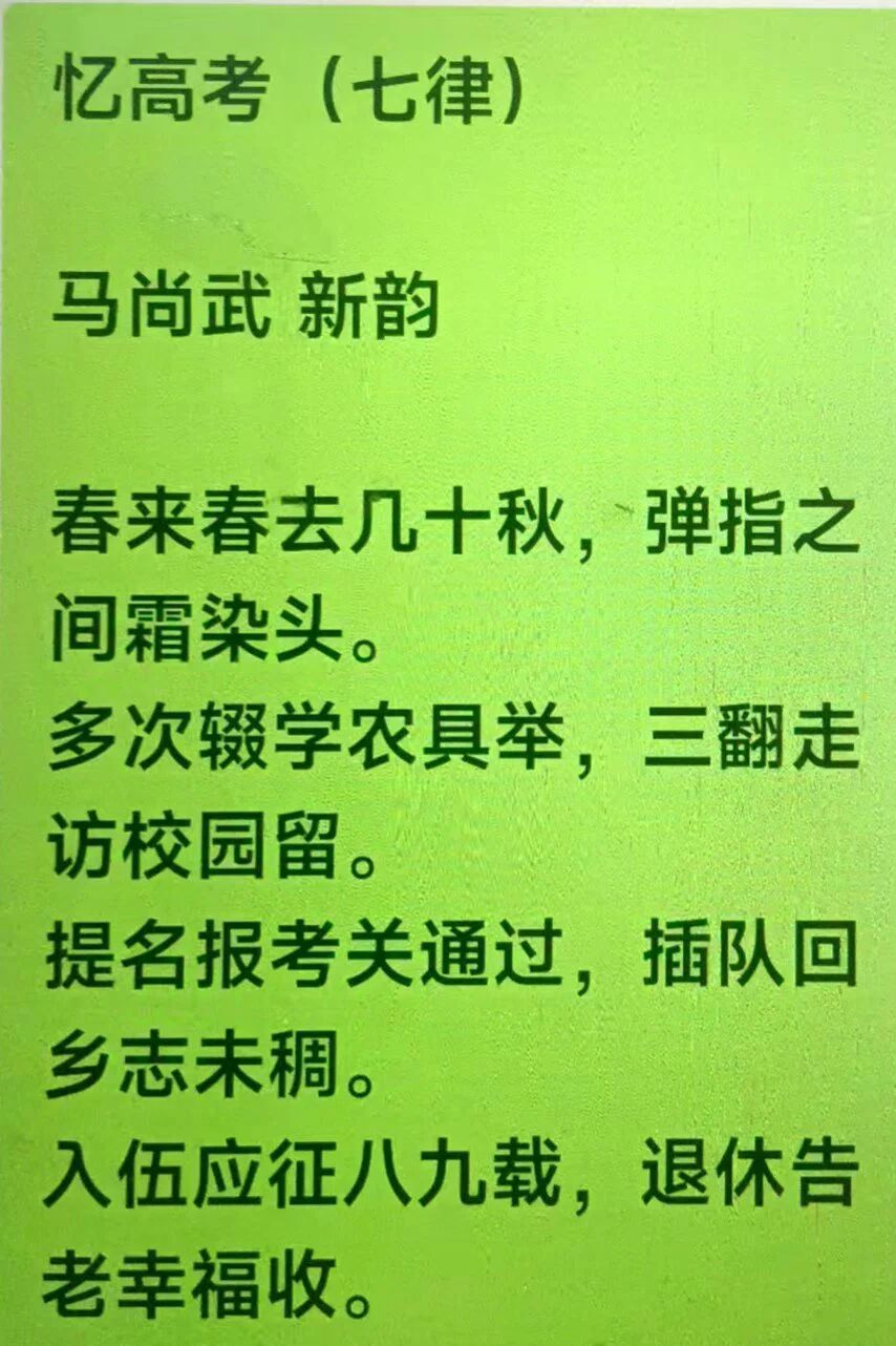 图片15