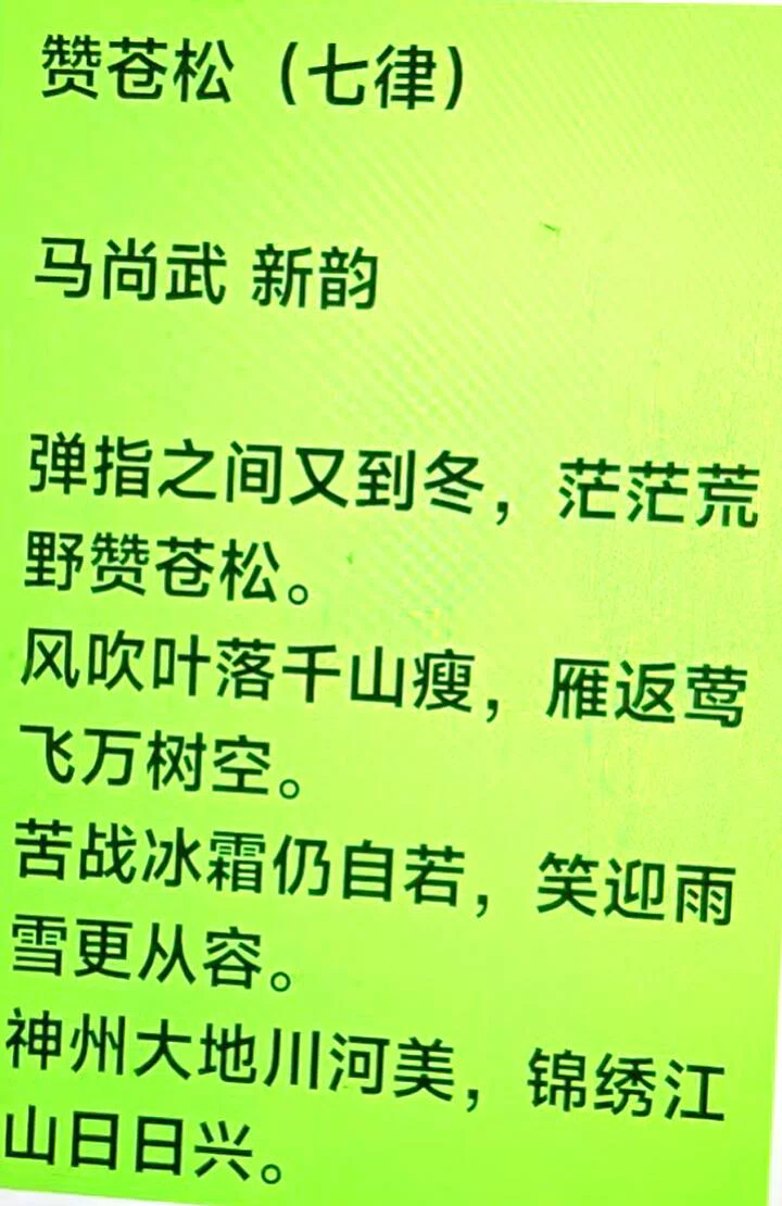 图片21