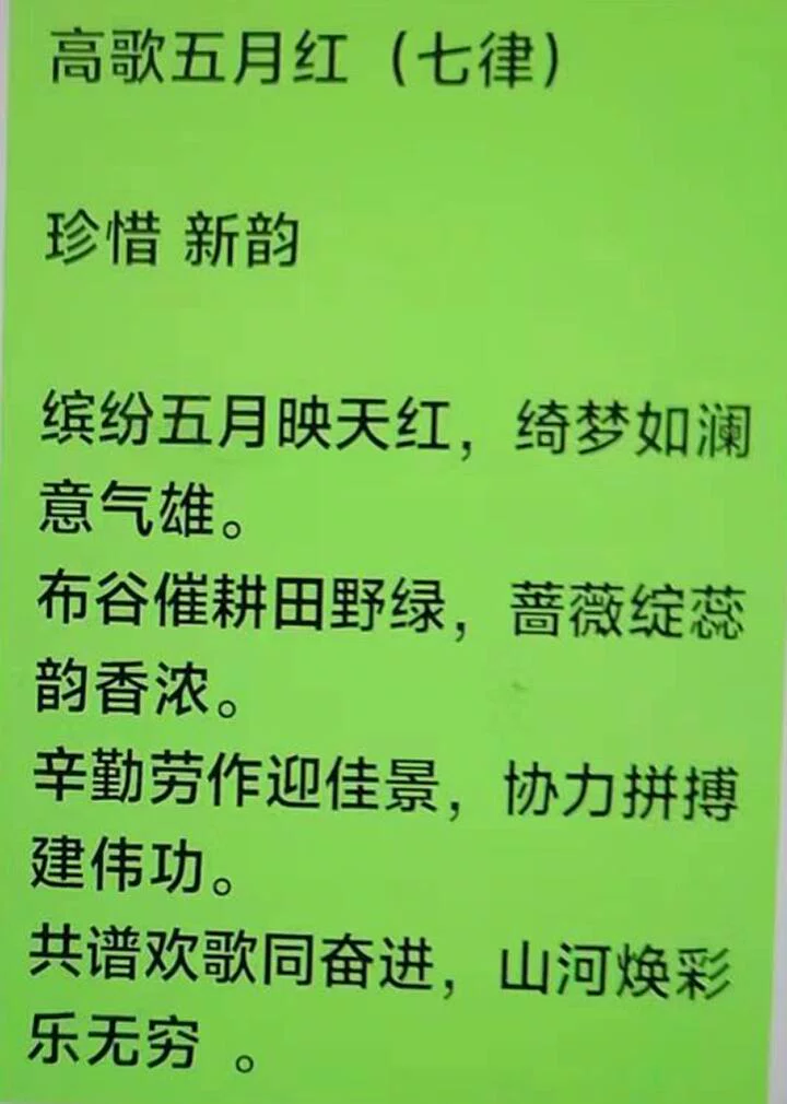图片6