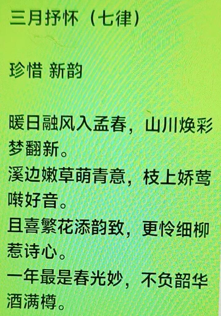 图片16