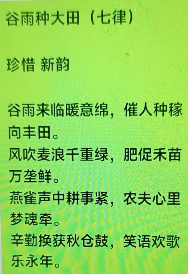 图片7