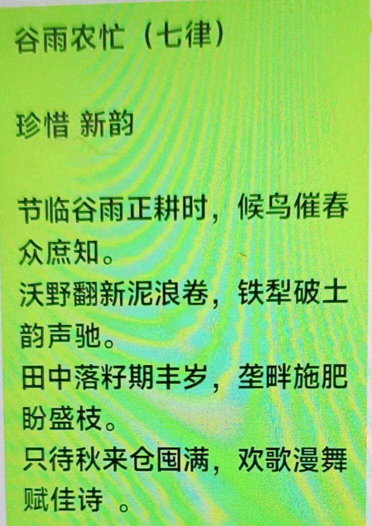 图片8