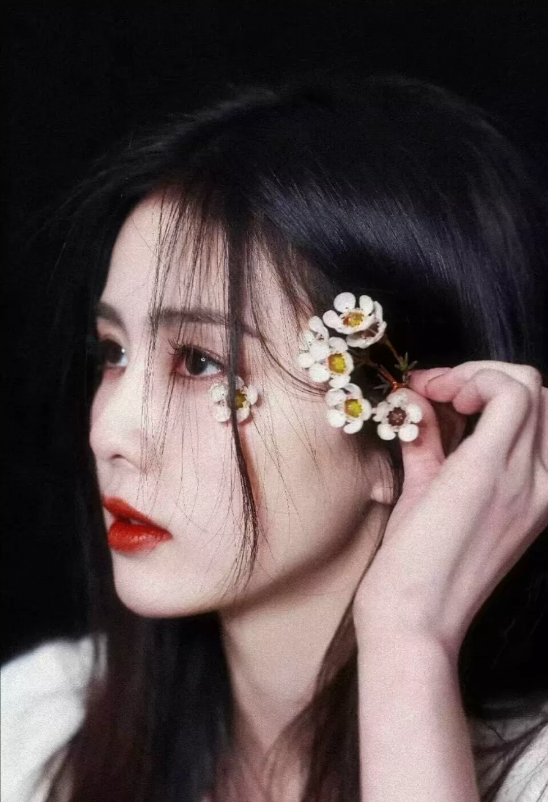 图片8