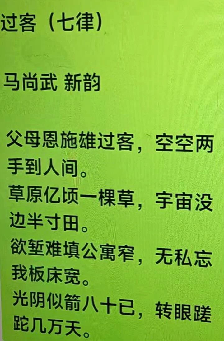 图片12