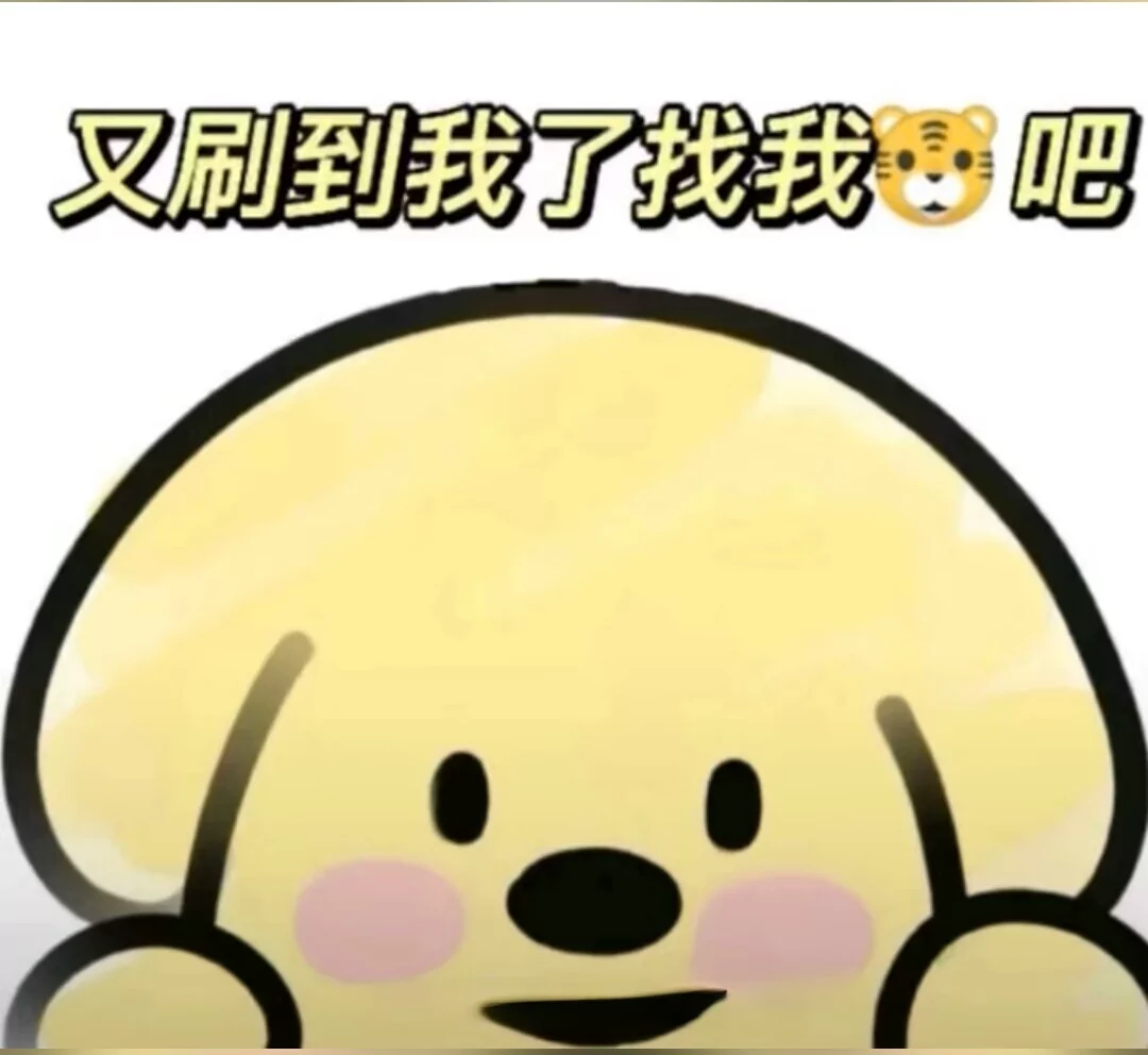 图片13
