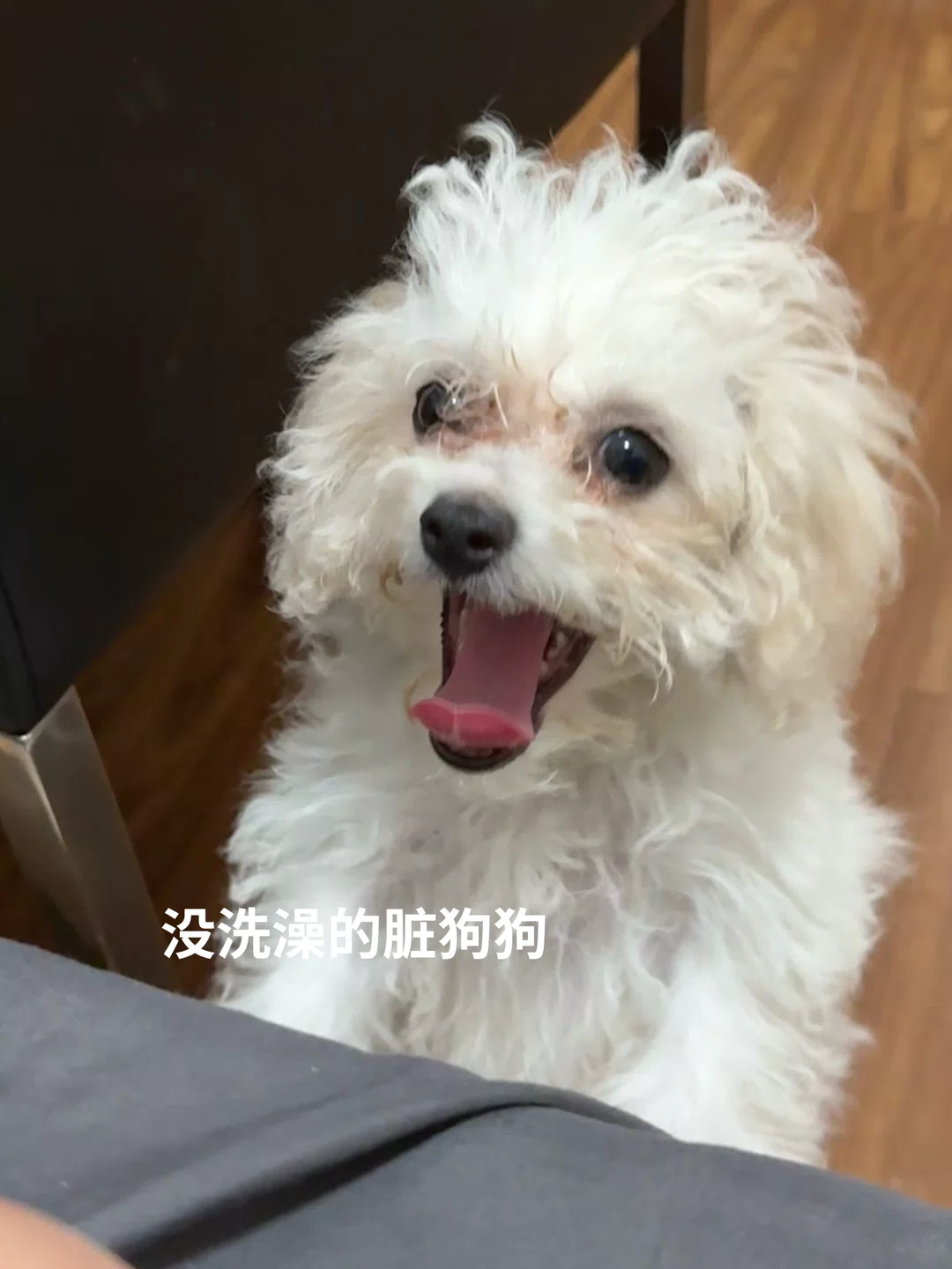 图片4