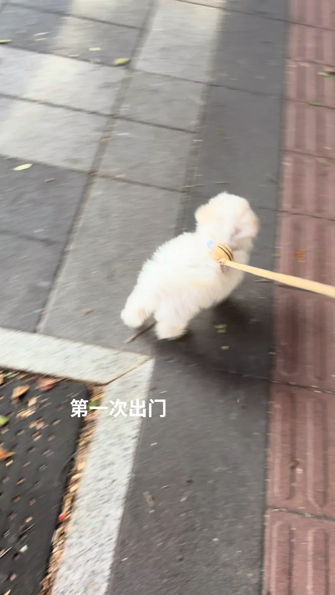 图片5