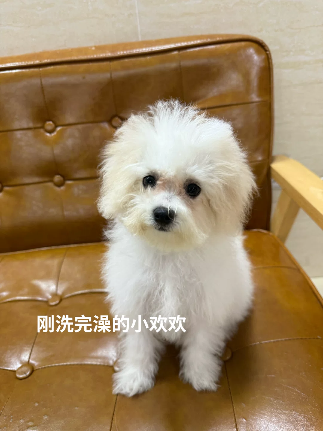 图片6