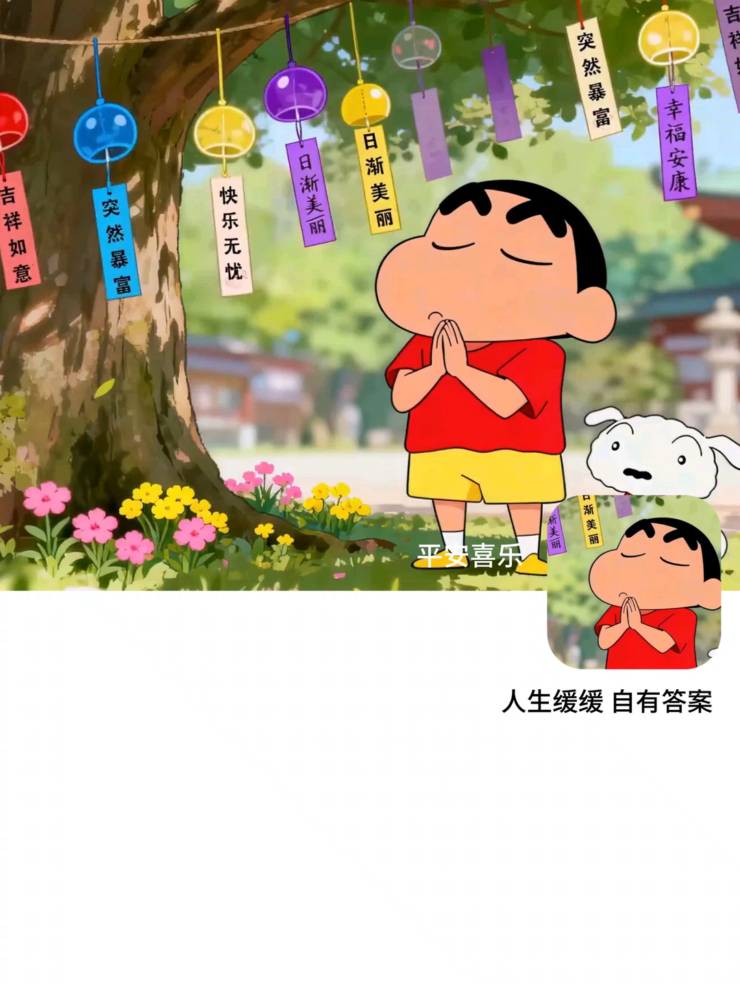 图片13