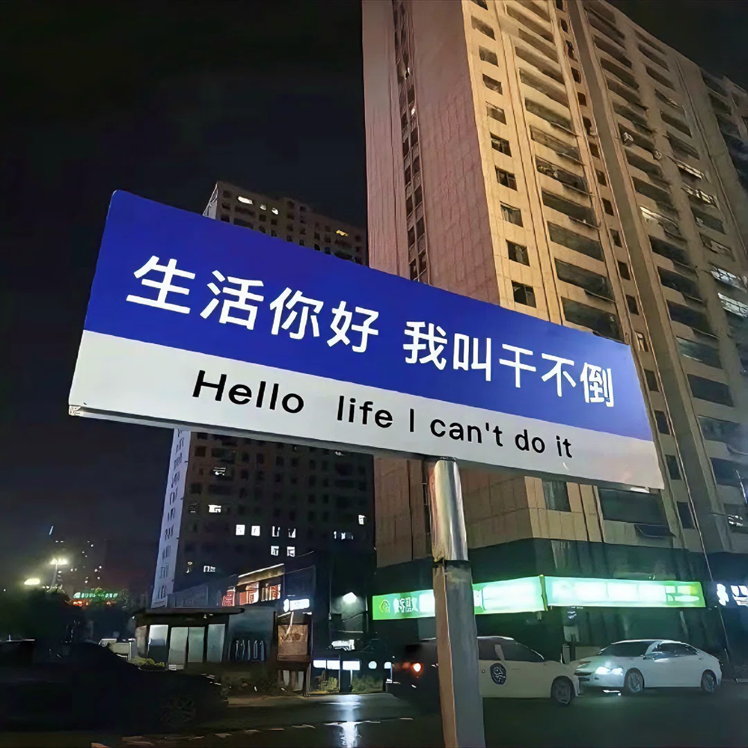 图片31