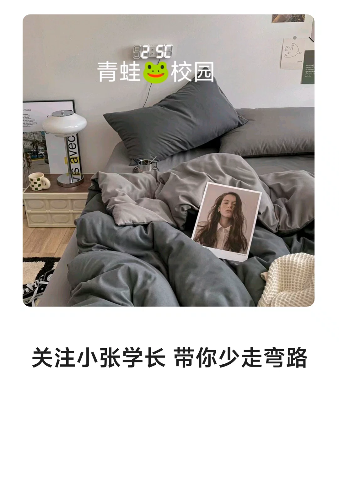 图片7