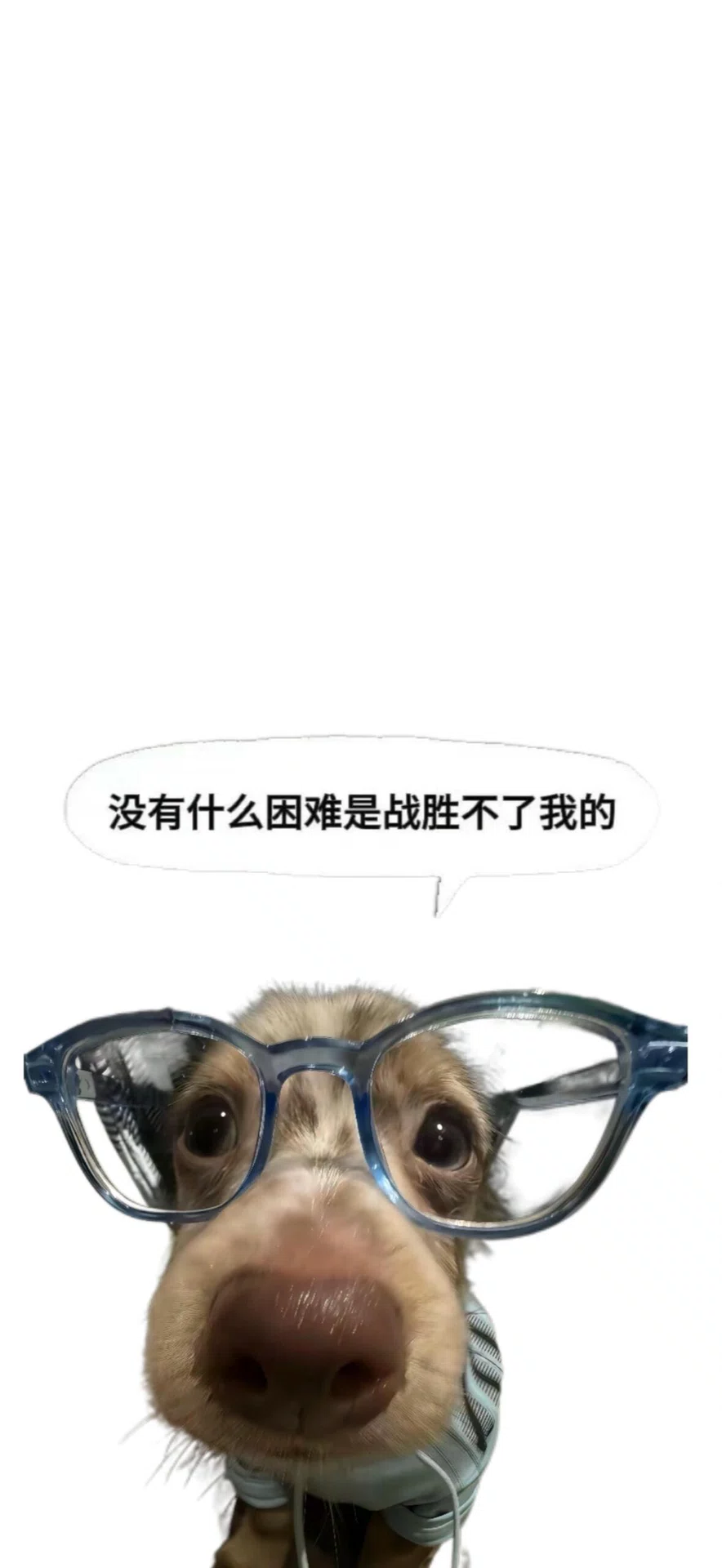 图片19