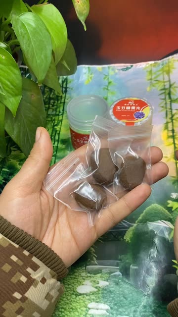 新疆包邮zapa komlaq和田发货