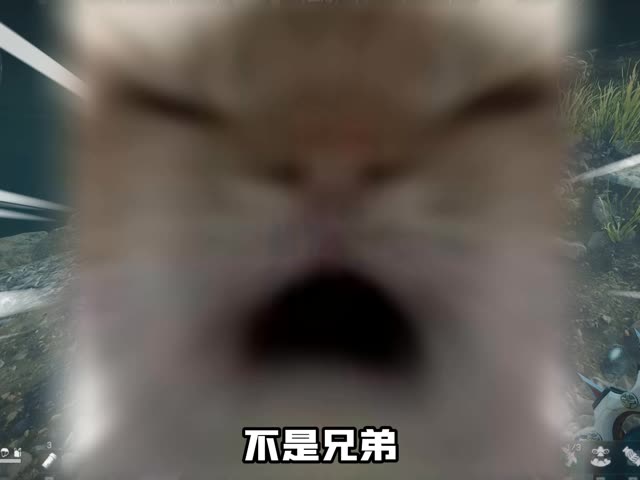 普坝淹死鳄鱼的来！绝航憋死鲨鱼的来！ #三角洲行动 #三角洲s9回声新赛季 #三角洲行动攻略 #游戏日常 