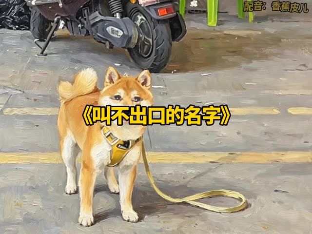 狗狗：让你不好好起名字 #搞笑配音 #看一遍笑一遍