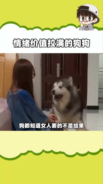 女生要的不是结果，是态度！ #万万没想到  #搞笑  #老铁娱乐观察站 #宠物