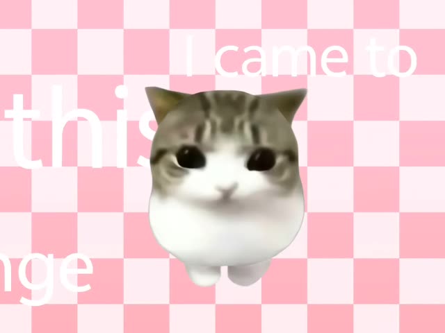被生活磨平了棱角～#喜爱度激励计划 #猫 #meme