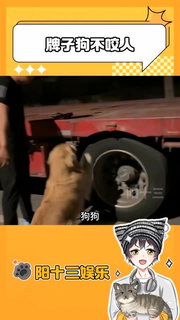 给孩子买一个吧 看给它稀罕的 #搞笑段子创新挑战赛 #喜爱度激励计划 #老铁爆梗王计划