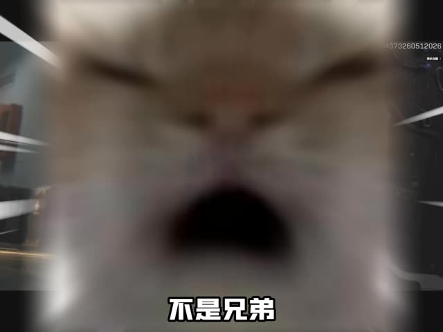 联动皮免费送！外挂能投票封禁？前瞻直播爆料的巨大改动来哩！ #三角洲行动  #三角洲S10裂变新赛季   #暑期第一把三角洲  #三角洲鼠期大行动  